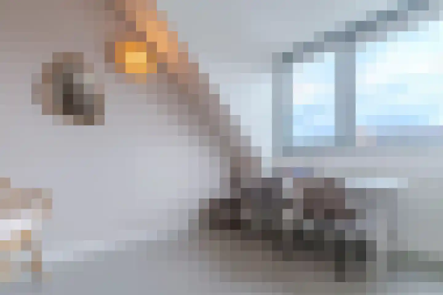 Jellingelant 10 Zuid-Scharwoude thumbnail 29