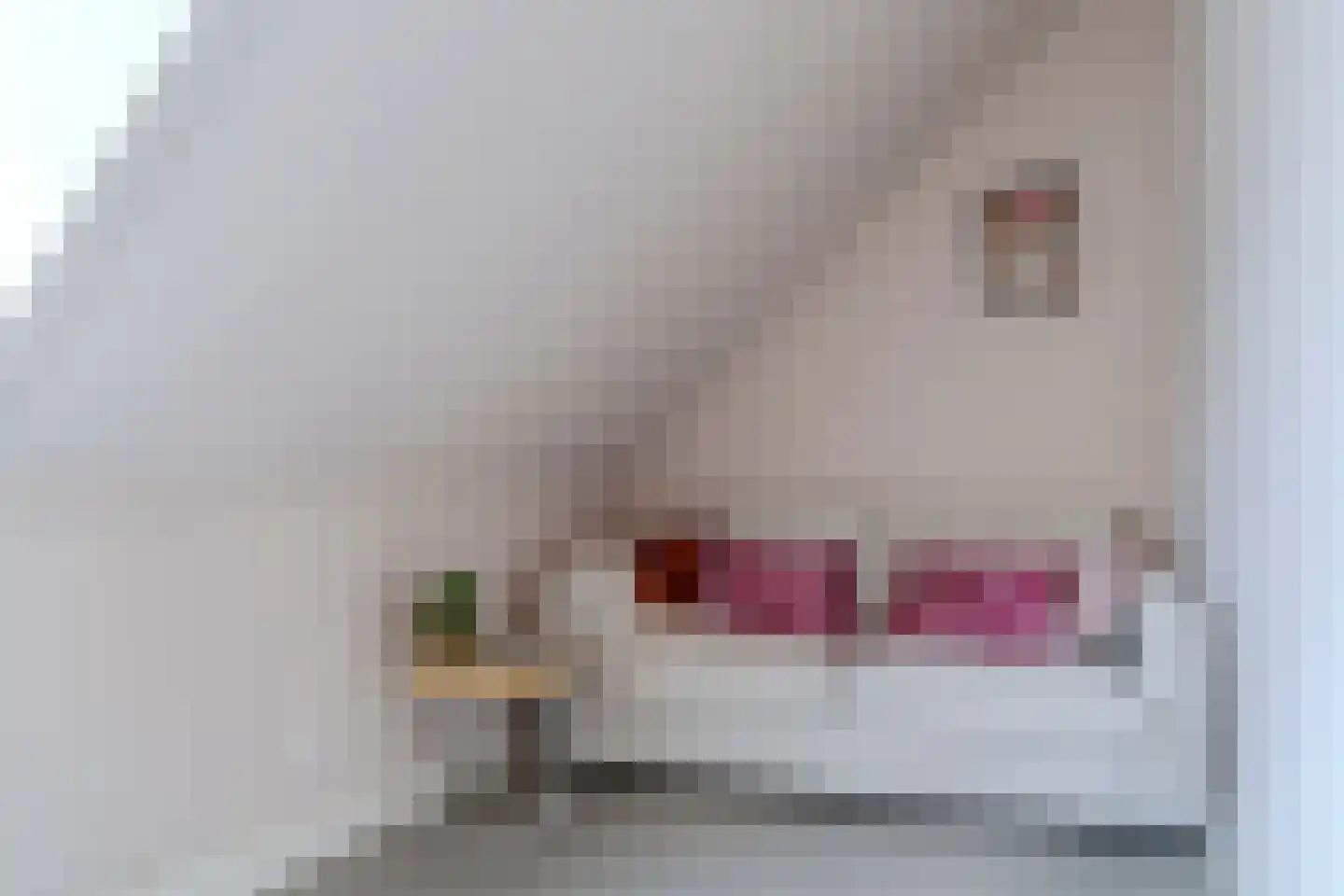 Jellingelant 10 Zuid-Scharwoude thumbnail 30