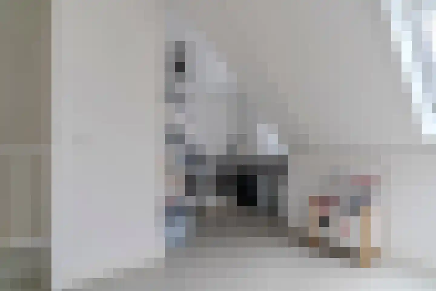 Jellingelant 10 Zuid-Scharwoude thumbnail 33