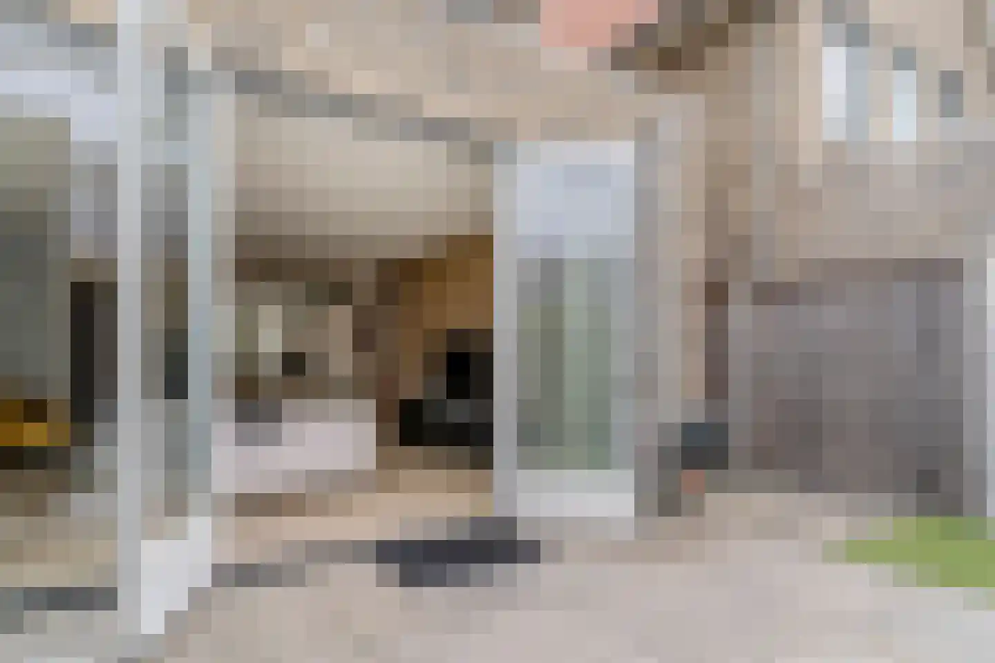 Jellingelant 10 Zuid-Scharwoude thumbnail 37