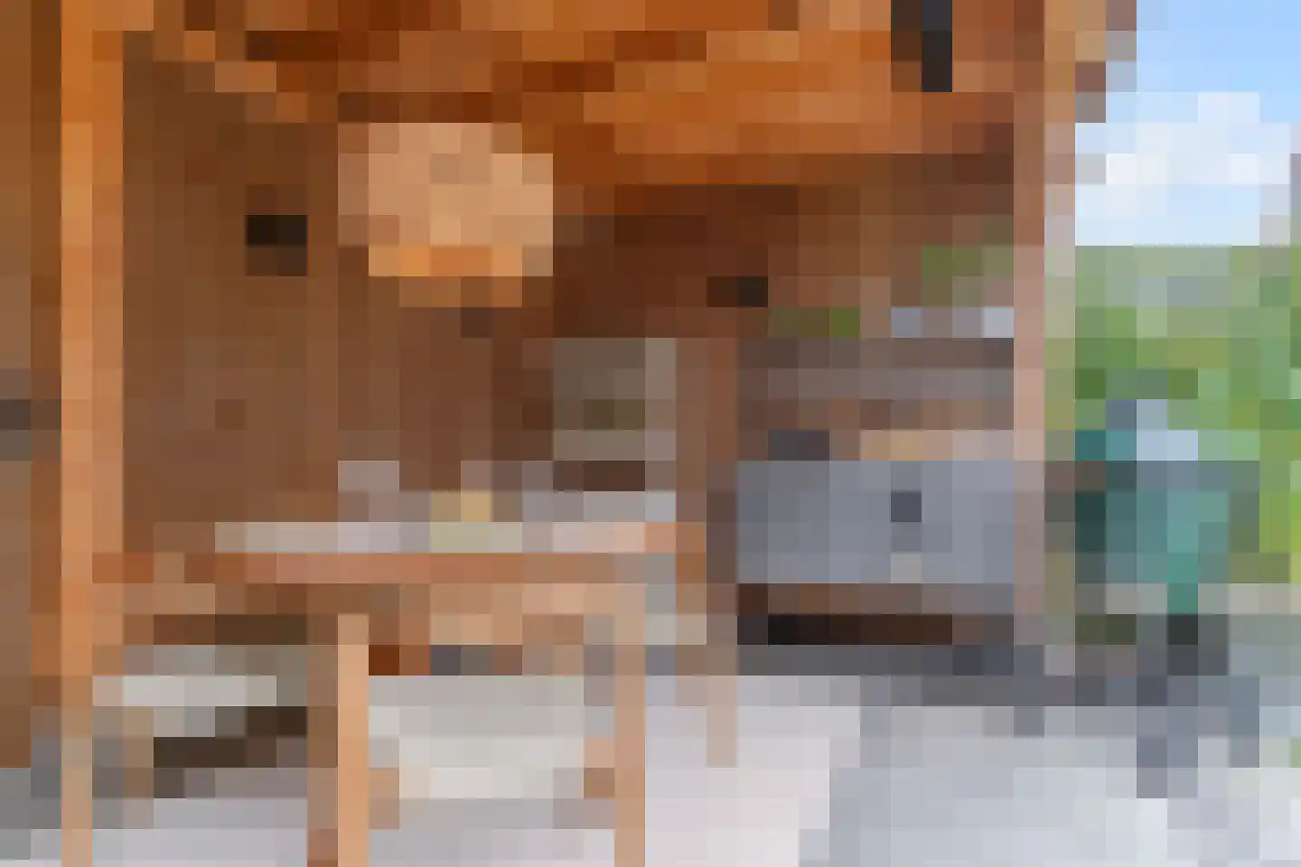 Jellingelant 10 Zuid-Scharwoude thumbnail 41