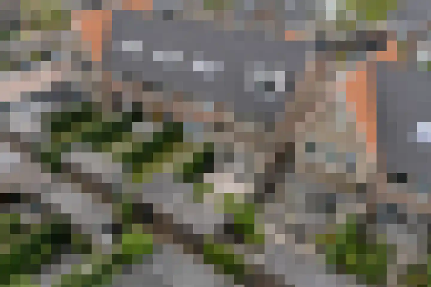 Jellingelant 10 Zuid-Scharwoude thumbnail 46
