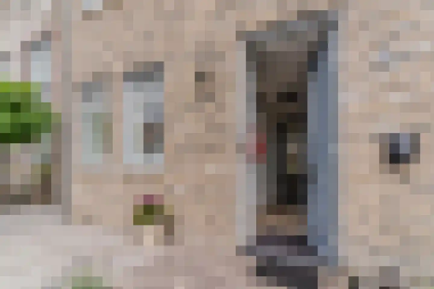Jellingelant 10 Zuid-Scharwoude thumbnail 48