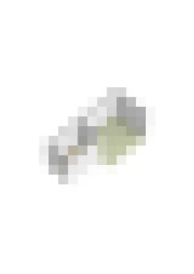 Jellingelant 10 Zuid-Scharwoude thumbnail 53
