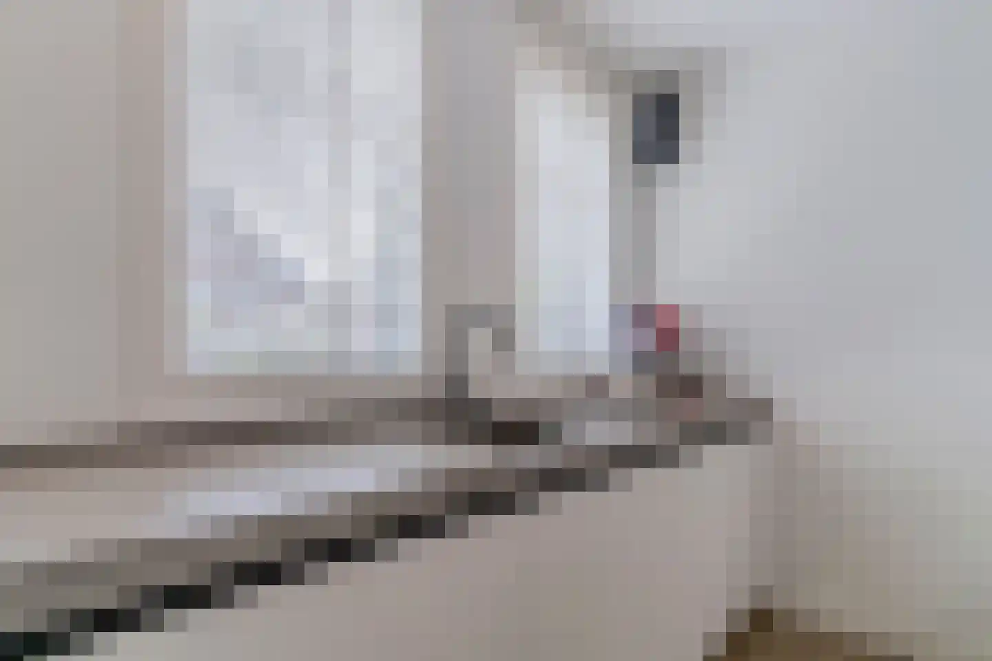 Jellingelant 10 Zuid-Scharwoude thumbnail 8