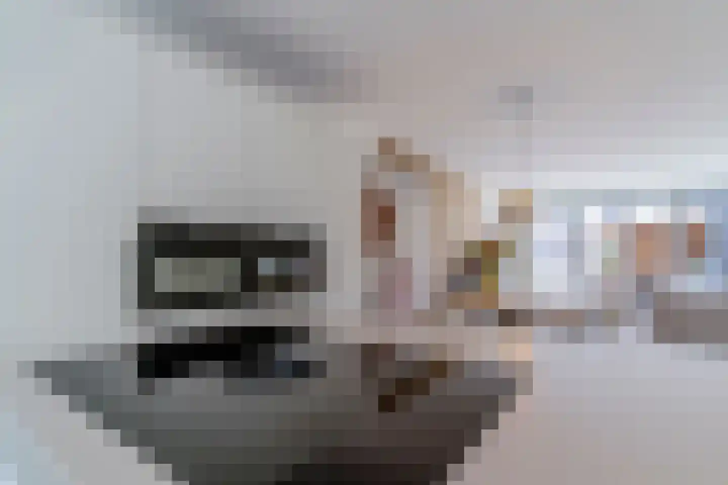 Jellingelant 10 Zuid-Scharwoude thumbnail 9