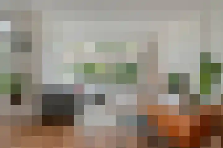Jellissenkamp 15 Zwolle thumbnail 11