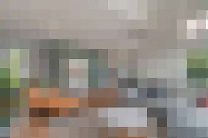 Jellissenkamp 15 Zwolle thumbnail 12