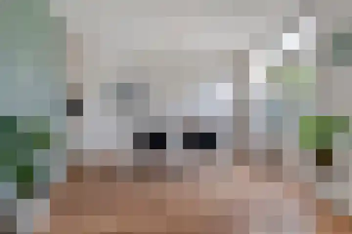 Jellissenkamp 15 Zwolle thumbnail 15