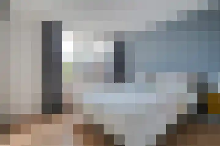 Jellissenkamp 15 Zwolle thumbnail 19