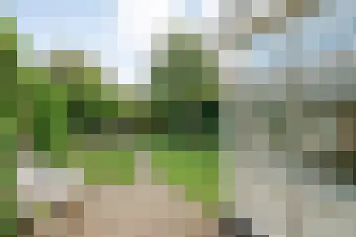 Jellissenkamp 15 Zwolle thumbnail 31