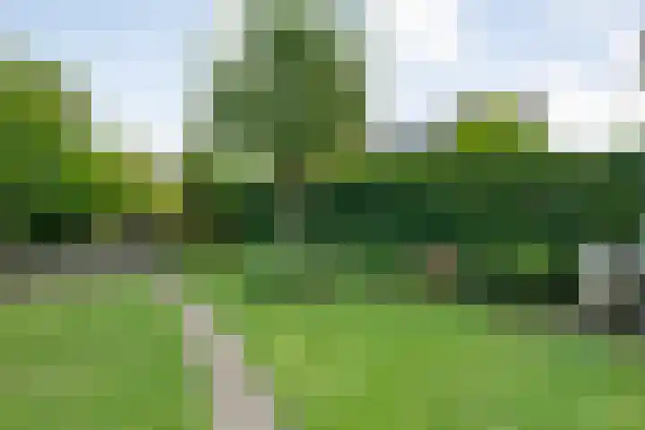 Jellissenkamp 15 Zwolle thumbnail 32