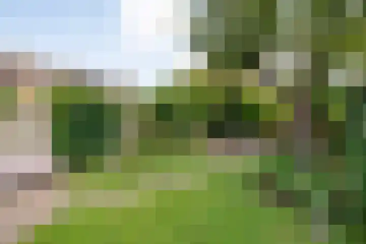 Jellissenkamp 15 Zwolle thumbnail 33