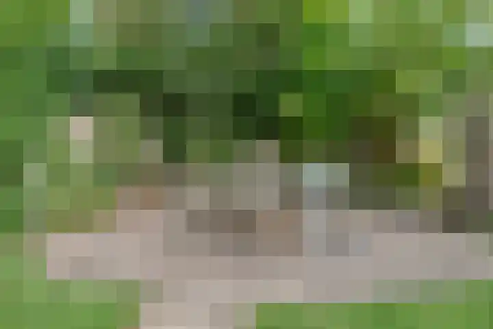 Jellissenkamp 15 Zwolle thumbnail 34
