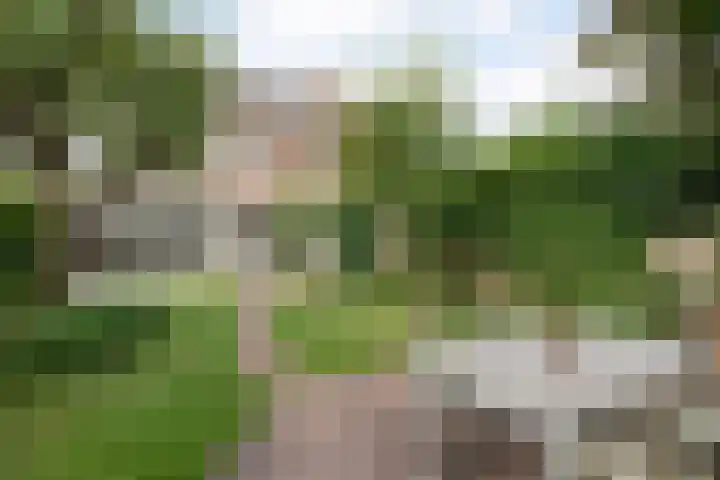 Jellissenkamp 15 Zwolle thumbnail 35