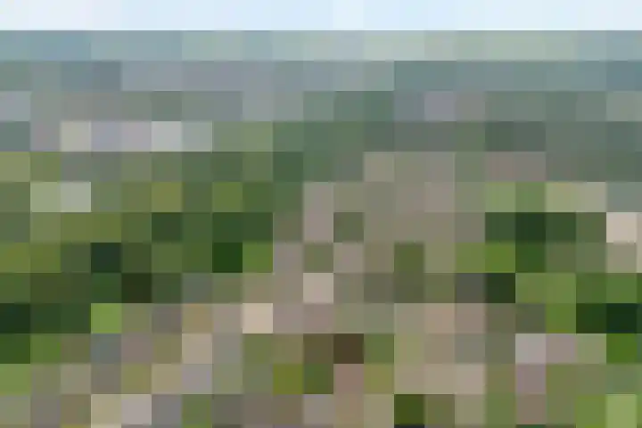 Jellissenkamp 15 Zwolle thumbnail 36