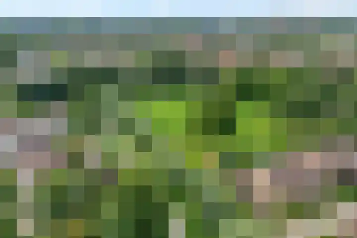 Jellissenkamp 15 Zwolle thumbnail 37