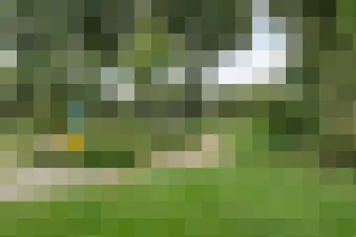 Jellissenkamp 15 Zwolle thumbnail 38