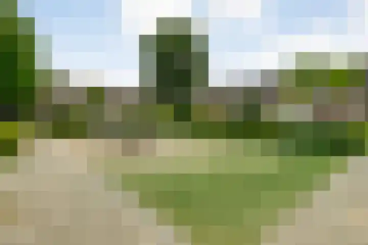 Jellissenkamp 15 Zwolle thumbnail 39