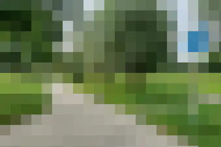 Jellissenkamp 15 Zwolle thumbnail 40