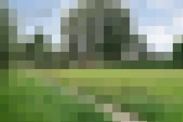 Jellissenkamp 15 Zwolle thumbnail 41
