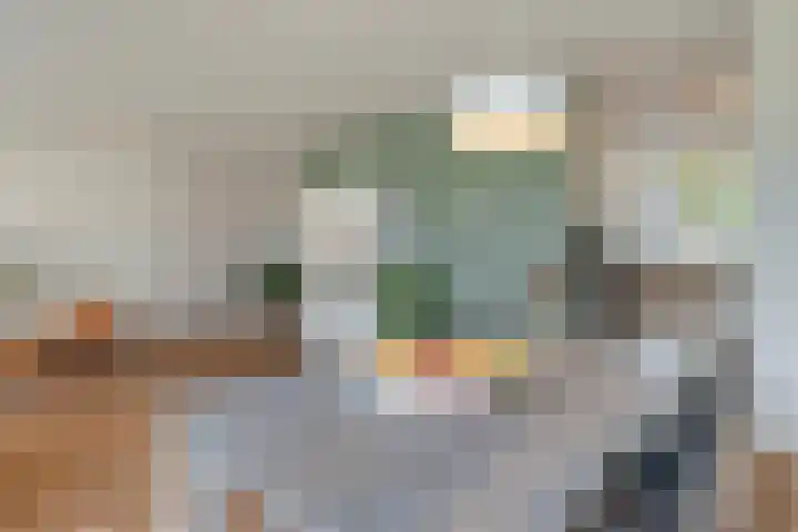 Jellissenkamp 15 Zwolle thumbnail 9