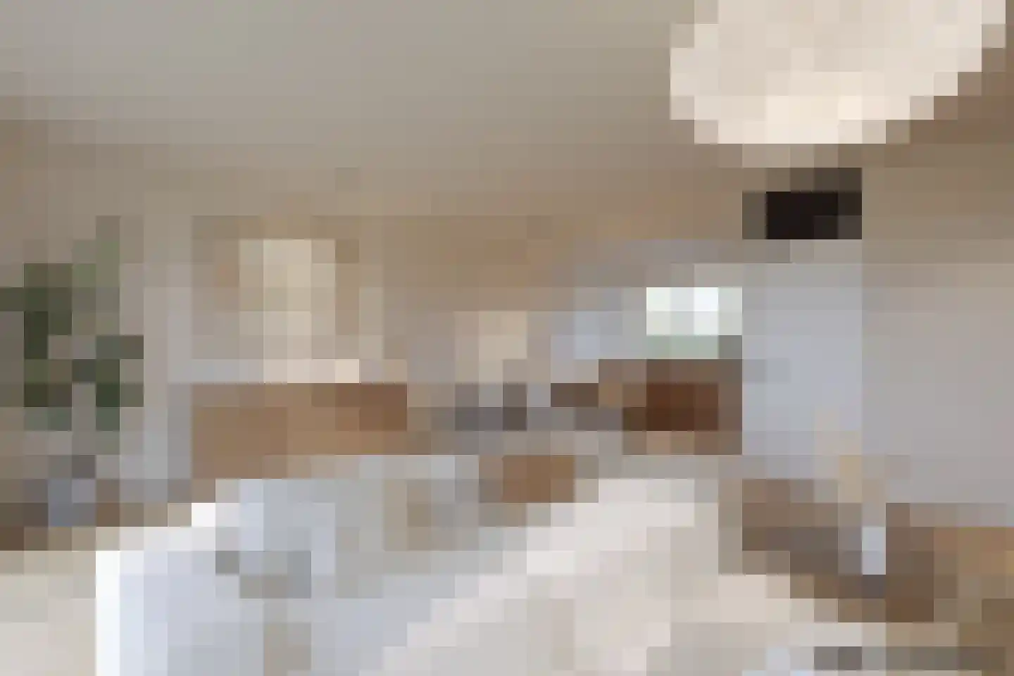 Jellissenkamp 84 Zwolle thumbnail 11