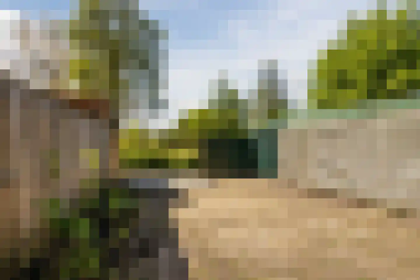 Jellissenkamp 84 Zwolle thumbnail 30