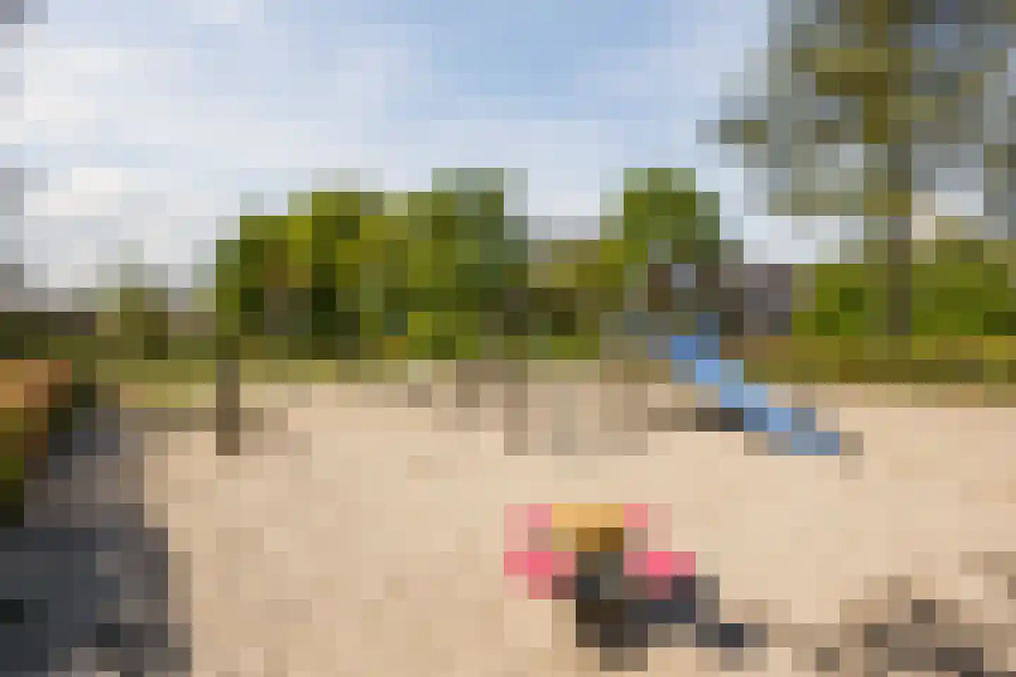 Jellissenkamp 84 Zwolle thumbnail 37