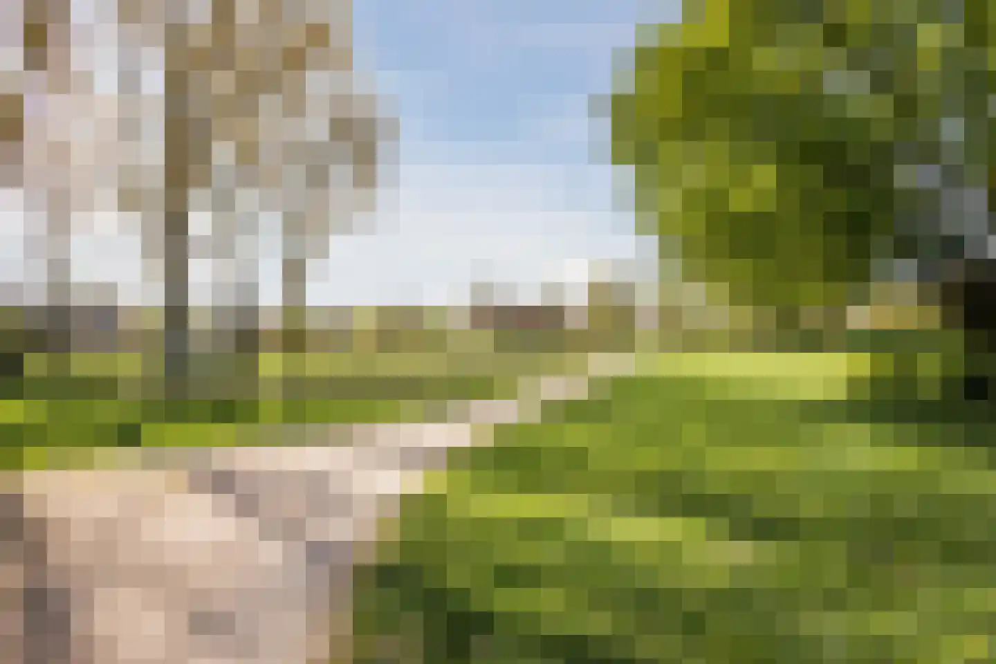 Jellissenkamp 84 Zwolle thumbnail 38