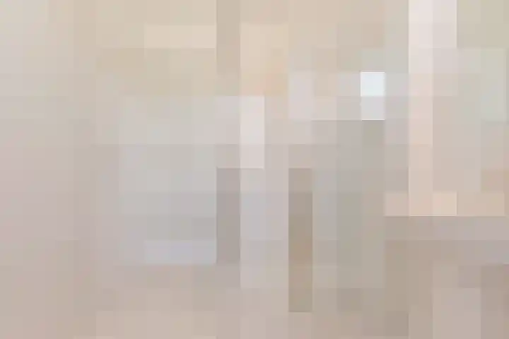 Jellissenkamp 9 Zwolle thumbnail 17