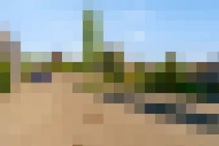 Jellissenkamp 9 Zwolle thumbnail 30