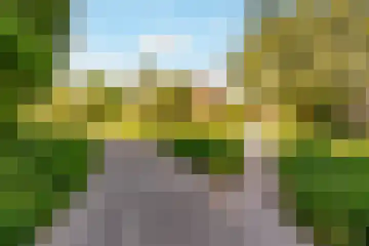 Jellissenkamp 9 Zwolle thumbnail 32