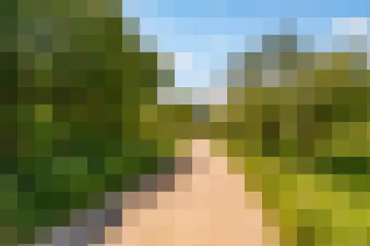 Jellissenkamp 9 Zwolle thumbnail 33