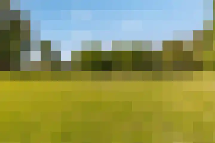 Jellissenkamp 9 Zwolle thumbnail 34