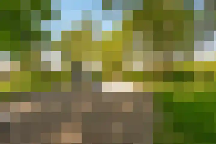 Jellissenkamp 9 Zwolle thumbnail 35