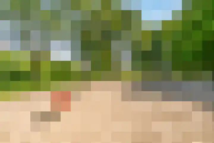 Jellissenkamp 9 Zwolle thumbnail 36