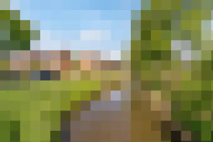 Jellissenkamp 9 Zwolle thumbnail 37