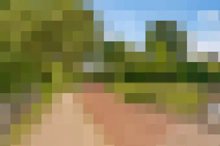 Jellissenkamp 9 Zwolle thumbnail 38
