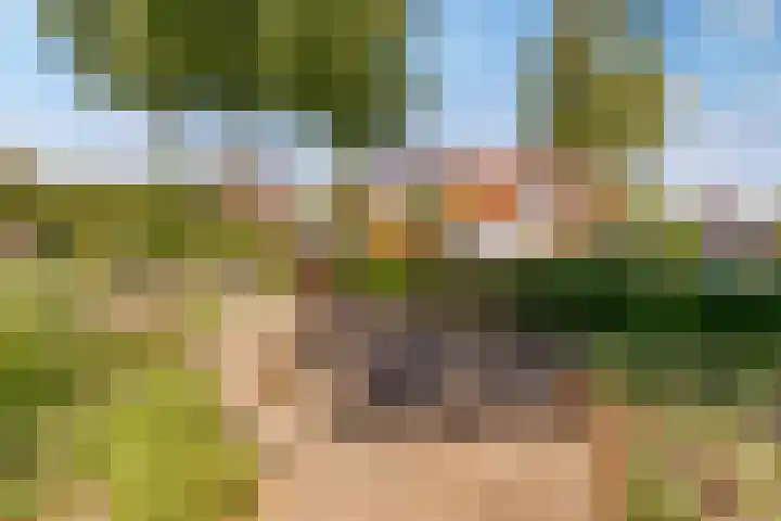 Jellissenkamp 9 Zwolle thumbnail 39