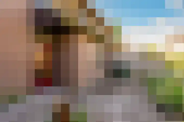 Jellissenkamp 9 Zwolle thumbnail 5