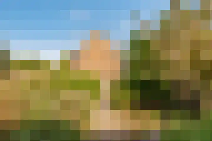 Jellissenkamp 9 Zwolle thumbnail 7