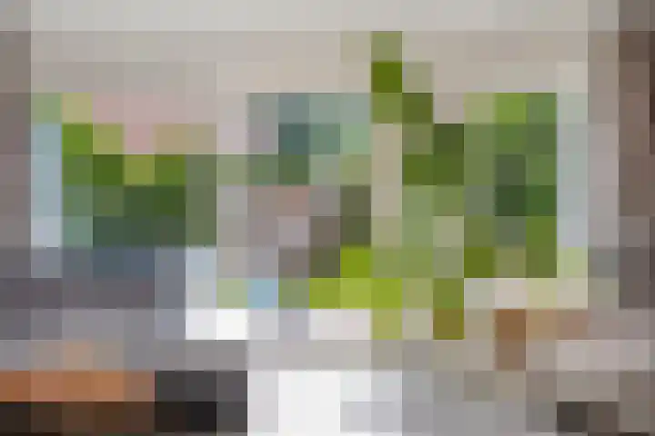Jellissenkamp 90 Zwolle thumbnail 10