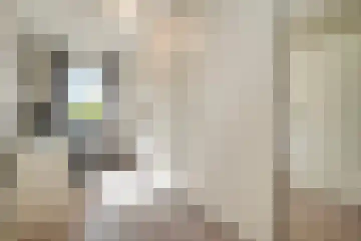 Jellissenkamp 90 Zwolle thumbnail 13