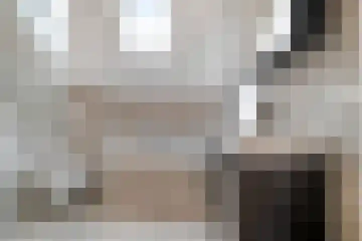 Jellissenkamp 90 Zwolle thumbnail 17