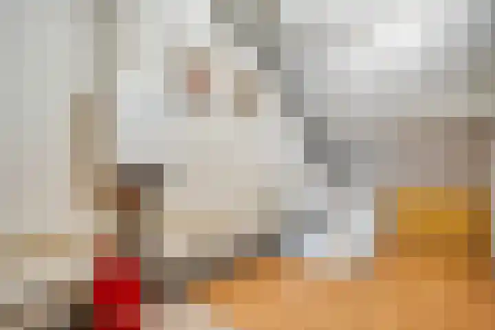 Jellissenkamp 90 Zwolle thumbnail 22