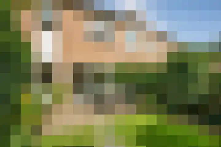 Jellissenkamp 90 Zwolle thumbnail 24