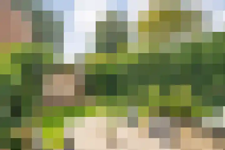 Jellissenkamp 90 Zwolle thumbnail 25
