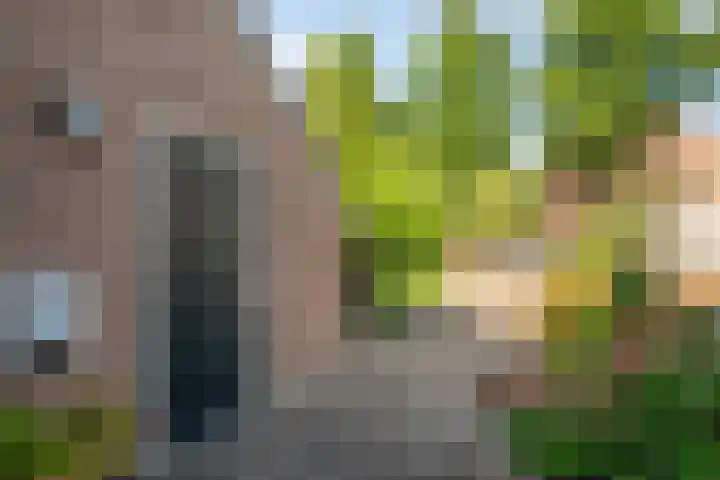 Jellissenkamp 90 Zwolle thumbnail 29