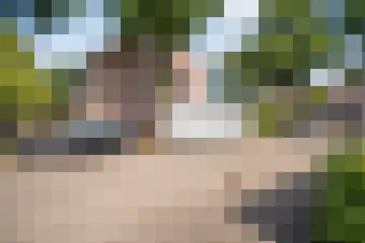 Jellissenkamp 90 Zwolle thumbnail 30